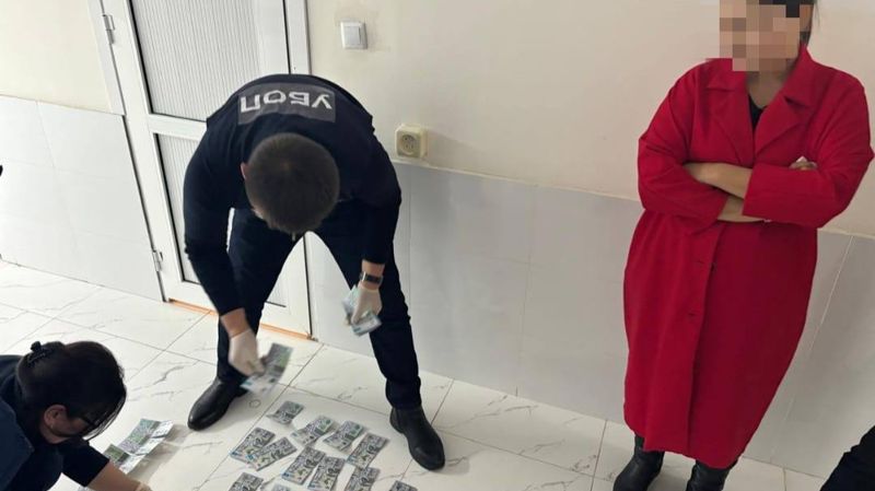 Блогершу из Туркестанской области обвинили в вымогательстве у главы клиники