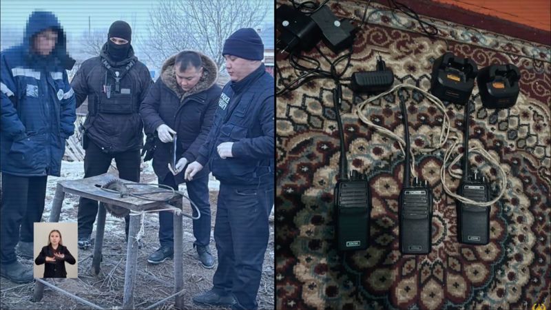 Преступную схему нелегальной вырубки саксаула раскрыли в Кызылординской области 