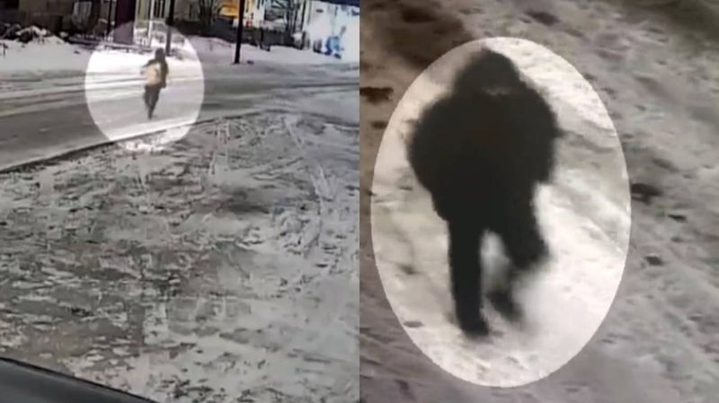 Сейф с деньгами и золото вытащил вор из дома жителей Караганды