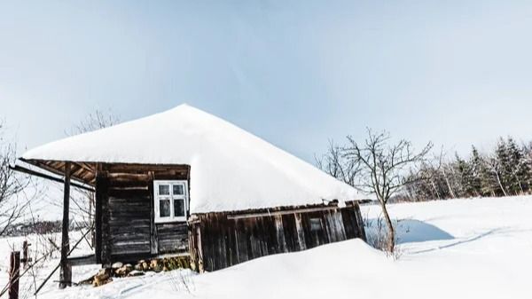Тела четырёх человек нашли в частном доме в Алматинской области