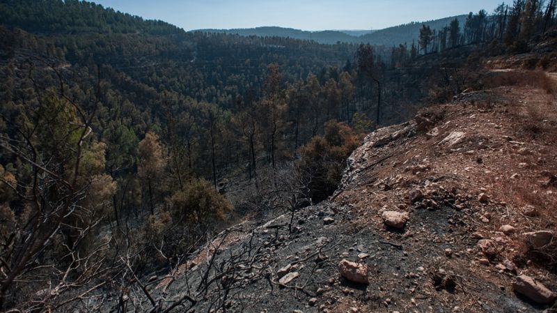 В Талгарском районе обрушился грунт