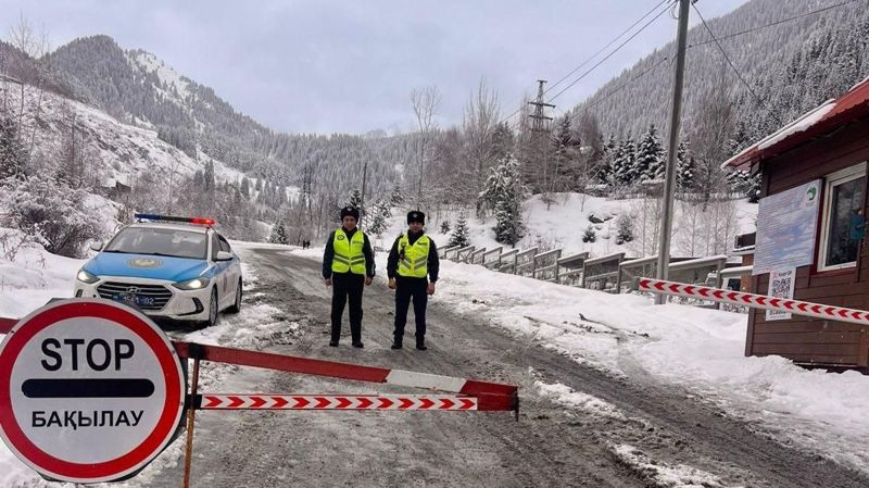 В Павлодарской области нашли два тела: полиция возбудила уголовное дело
