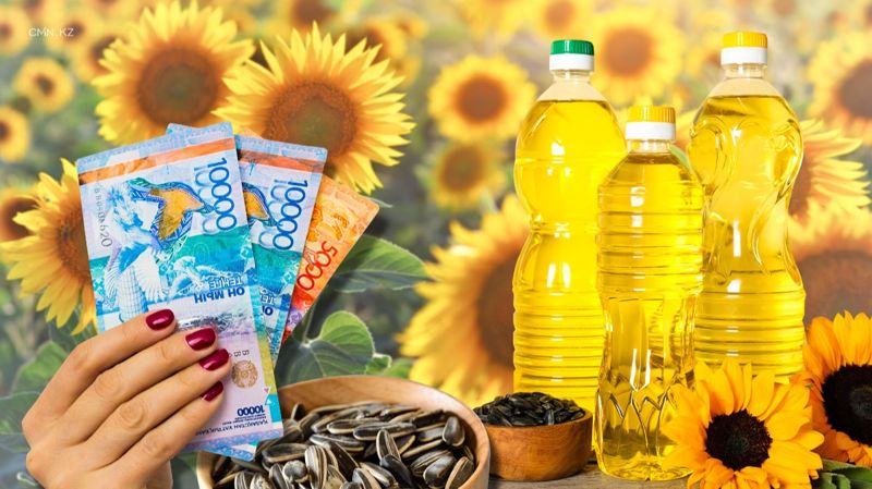 Подсолнечник на перепутье: почему отрасль снова заговорила о пошлинах и ценах