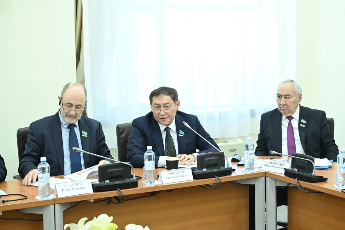 Нуржан Ашимбетов, депутаты, мажилис