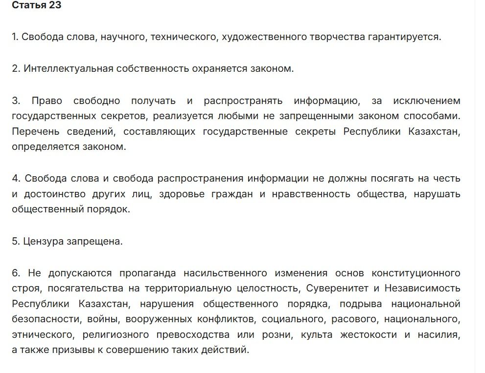 Конституция, скриншот