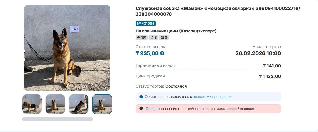 Продажа собак
