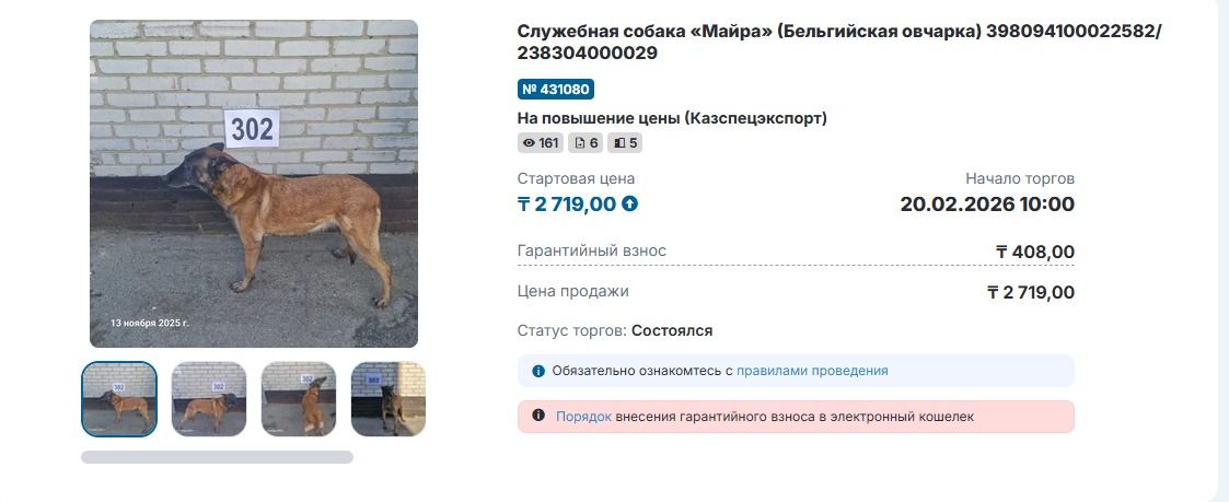 Продажа собак на сайте