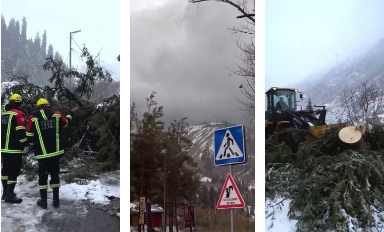 На Алматы обрушился ураганный ветер