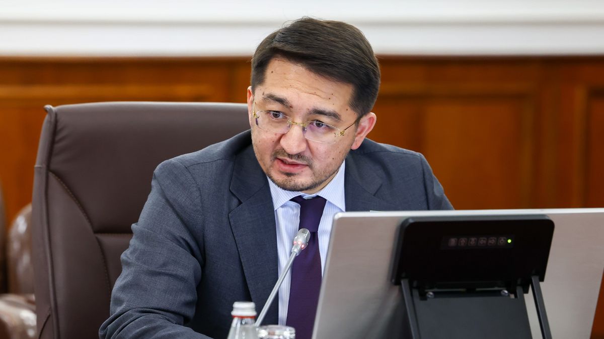 министр искусственного интеллекта и цифрового развития 