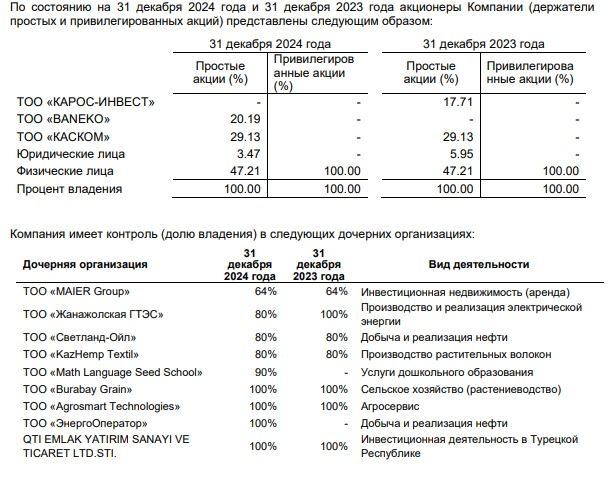 Отчёт, AMF Group