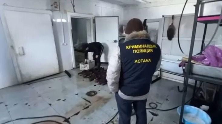 В Астане прикрыли второй подпольный мясной цех за сутки