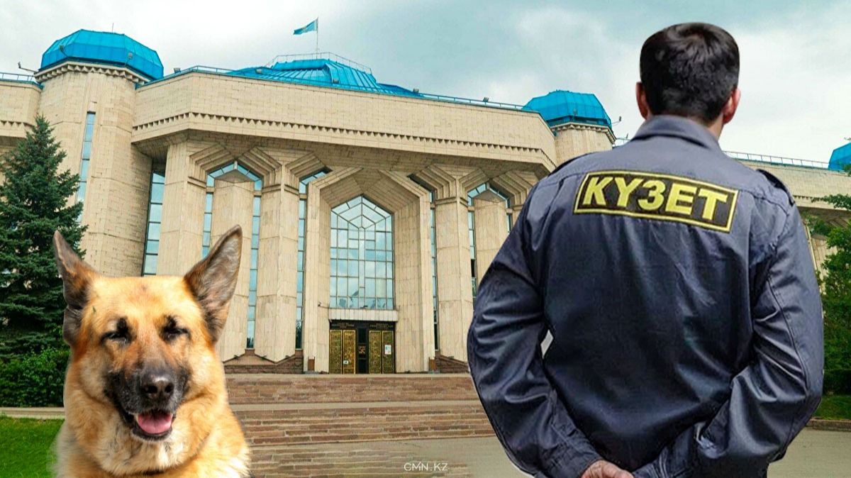 Рентгены и частные охранники могут появиться в музеях Казахстана после ограбления Лувра