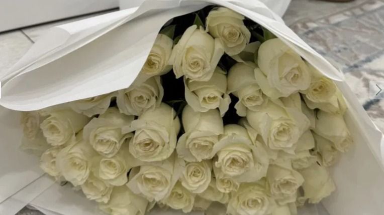 Цветы, розы