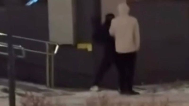 Справившим нужду на улице Семея иностранцам запретили въезд в Казахстан 