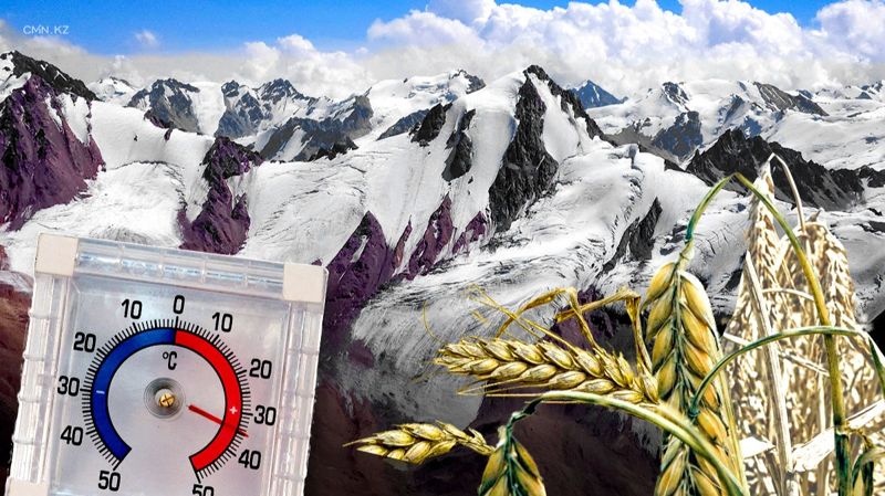 Казахстан теряет 1% ледников в год: реально ли остановить этот процесс? 