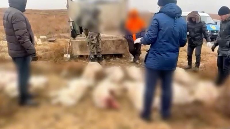 УАЗ, набитый тушами сайги, пытался сбежать от полиции в степи