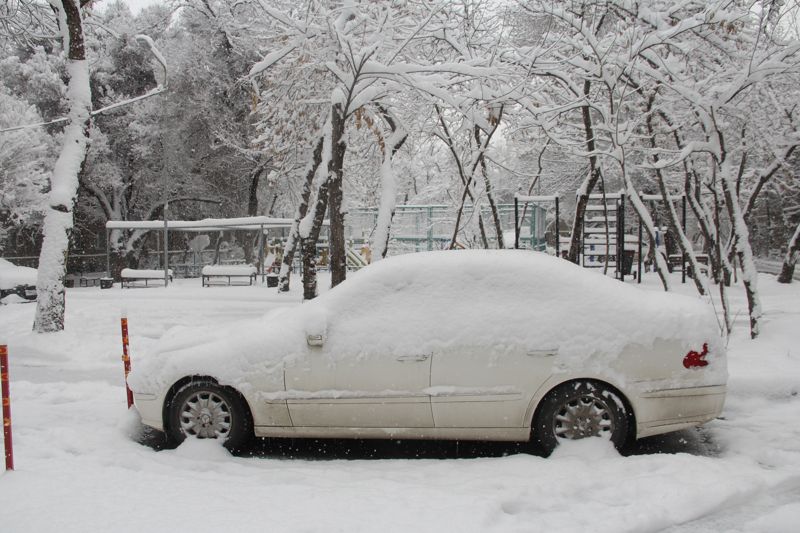 Синоптики назвали два региона Казахстана, где 15 марта пройдут снег и дожди 