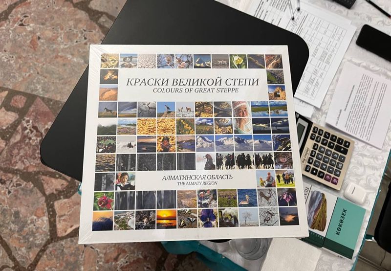 Книги о степи вручили избирателям на участке в Национальной библиотеке Алматы 