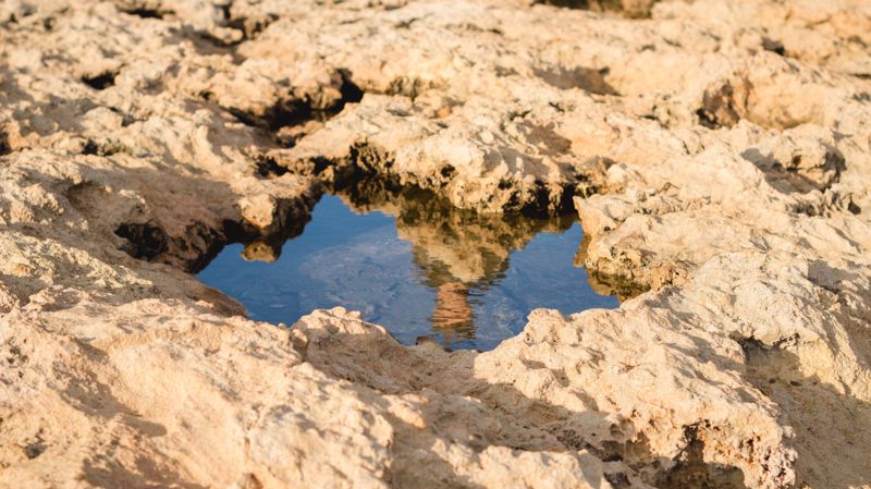 Засуха на подходе? Казахстан ищет новые подземные запасы воды в пяти регионах