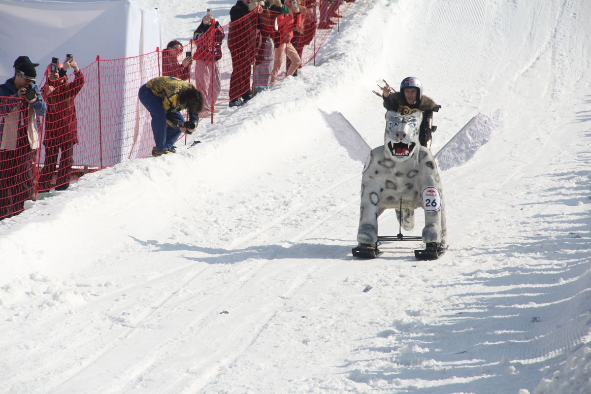 Red Bull, болид