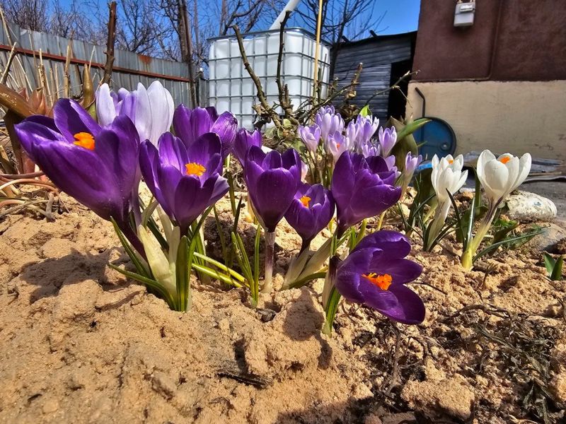 До +28 градусов потеплеет в Казахстане