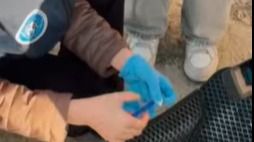 В Актау задержали иностранку с наркотиками