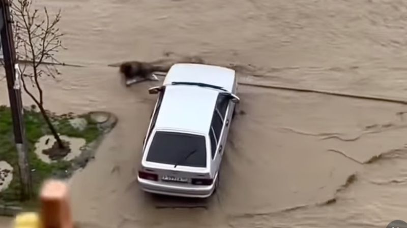 В Дагестане продолжается сильнейшее за сто лет наводнение