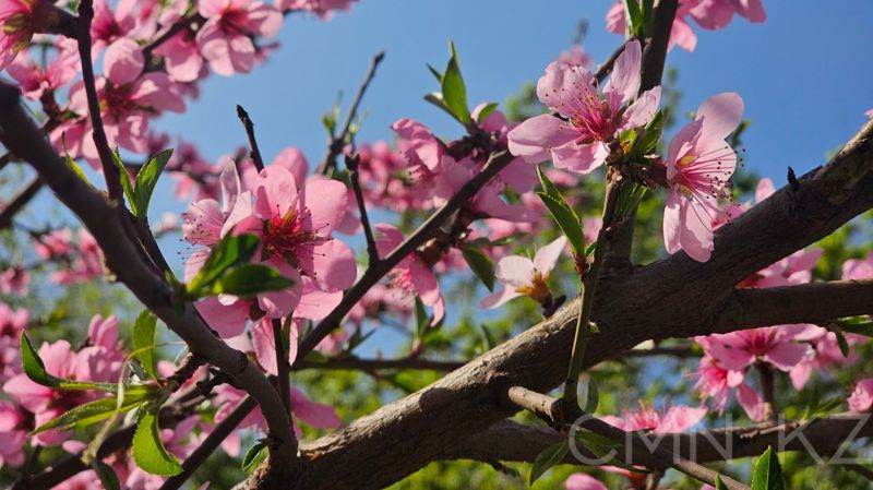 Казахстан накроют дожди, снег и сильный ветер: прогноз на 7–9 апреля