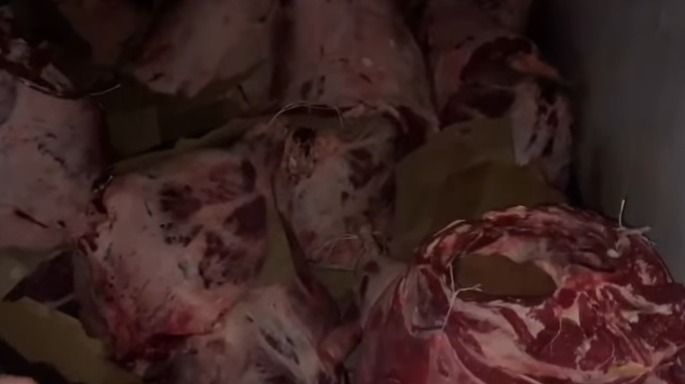 Туши лошадей и быков: битком набитый мясом грузовик остановили полицейские в Астане