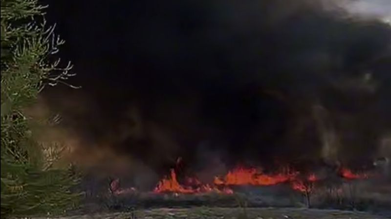 В Кунаеве горит один гектар камыша