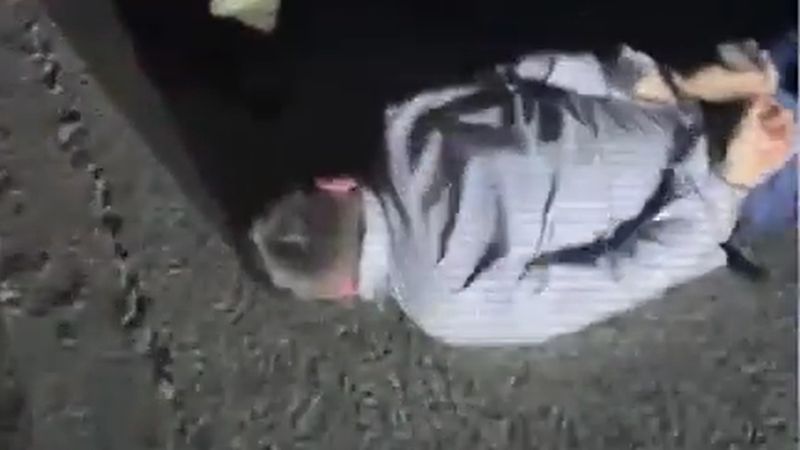 В Атырауской области сорвали кражу верблюдов