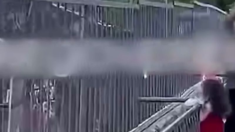 Мужчину наказали за выходку у вольера со львом в зоопарке Алматы