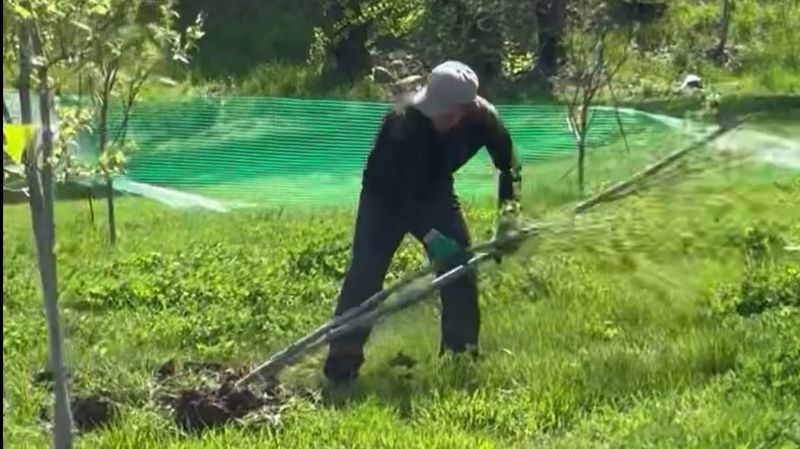 Неизвестные выкорчёвывают деревья на речке Есентай