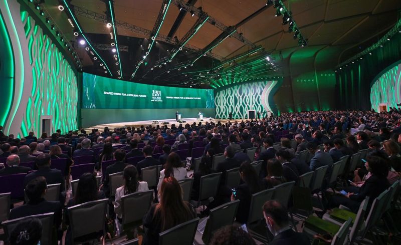 Численность снежных барсов в Казахстане выросла более чем в два раза