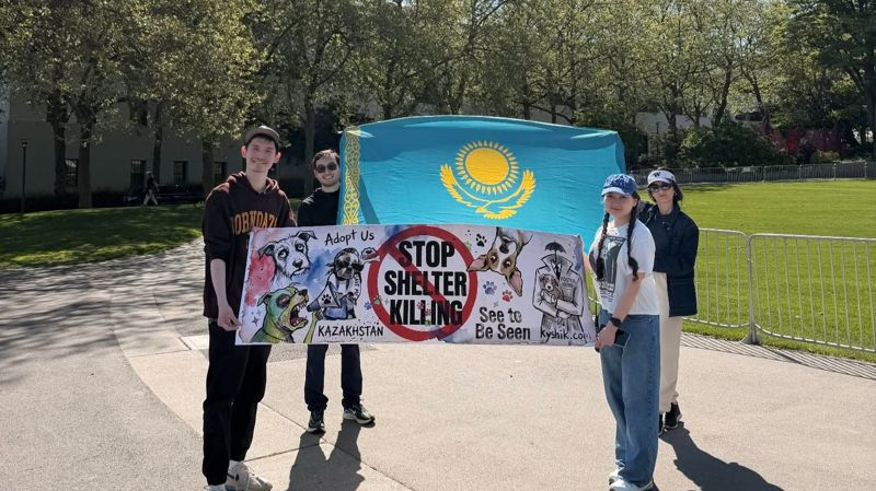 Казахстанские студенты вышли на протест в США против эвтаназии животных