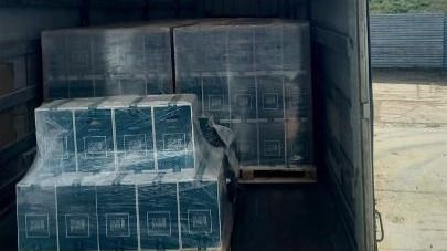 Заражённые семена подсолнечника ввезли в Акмолинскую область