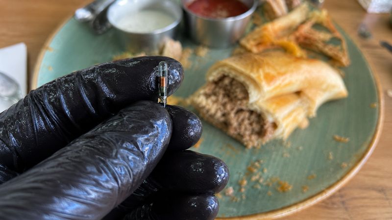 Чип в самсе: почему СЭС не будет проверять кафе в Алматы?