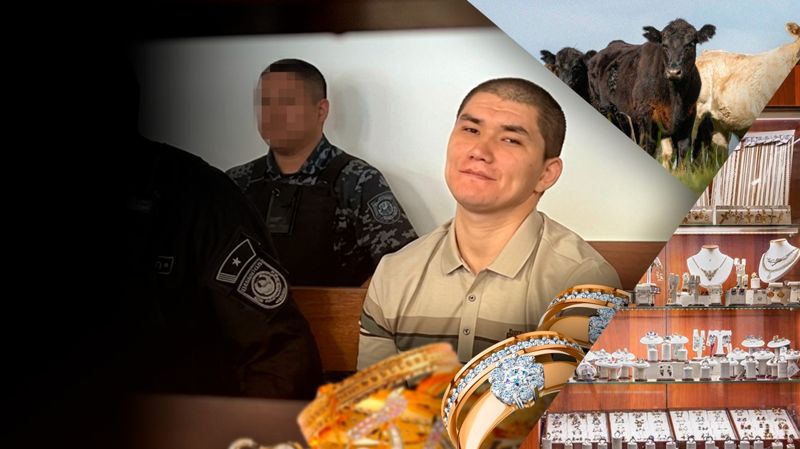 Продал скот убитых, сдал золото в ломбард - в чем еще обвиняют Сарсемалиева 