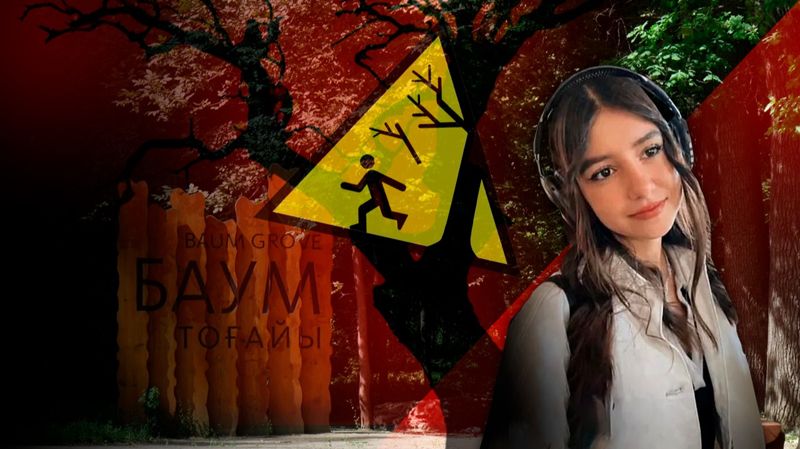 Алматинка в коме из-за рухнувшего на неё дерева