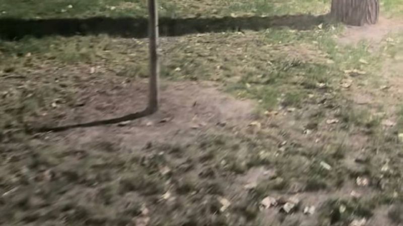 Аллея на Гагарина снова высохла
