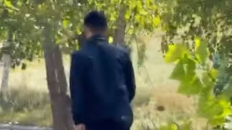 "Схватил за грудь и не давал вырваться": харассмент в Президентском парке Астаны