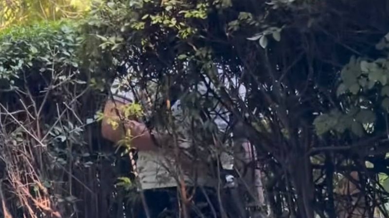 Культурный шок у отдыхающих в Центральном парке Алматы